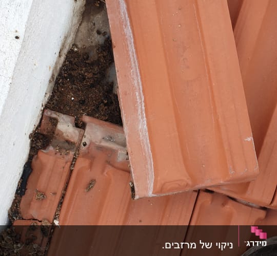 רעפים כתומים על גג עם לכלוך בין החריצים